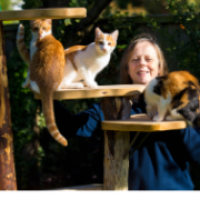 8d74b80195e14748b9f34cb2c5b96a4c