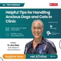 NZVNA Helpful Tips for Handling Anxious Dogs and Cats in Clinic 3