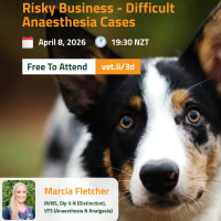 b6165cfb 0f94 46c5 9af8 ffb449ef8e83