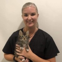 thumbnail Cropped v3